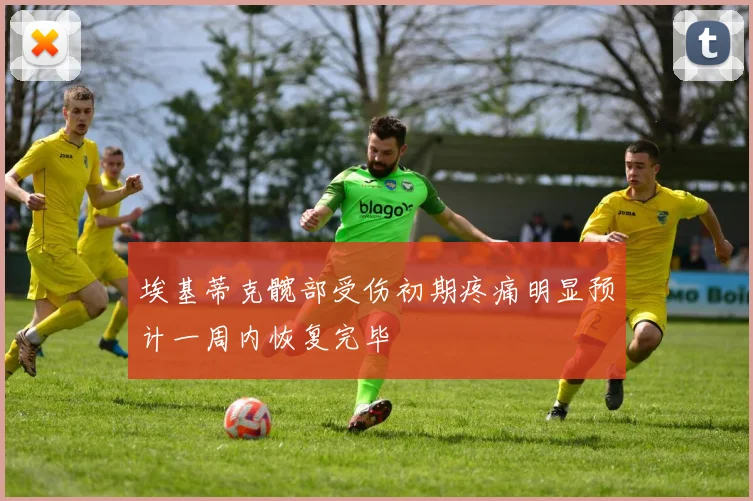 埃基蒂克髋部受伤初期疼痛明显预计一周内恢复完毕