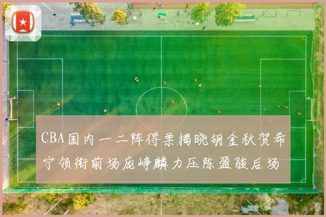CBA国内一二阵得票揭晓胡金秋贺希宁领衔前场庞峥麟力压陈盈骏后场
